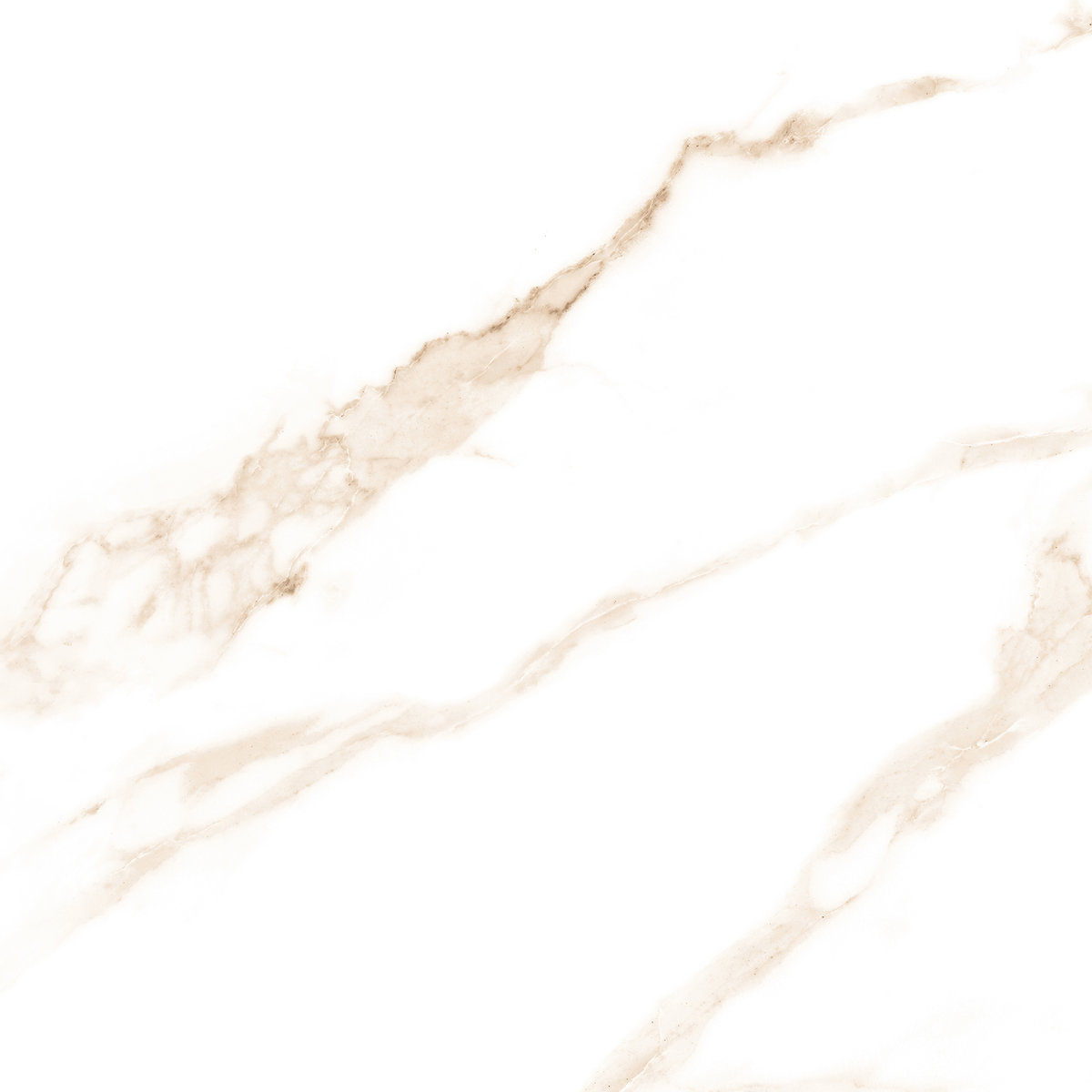 David Gold — Marble look porcelain tile, Polished