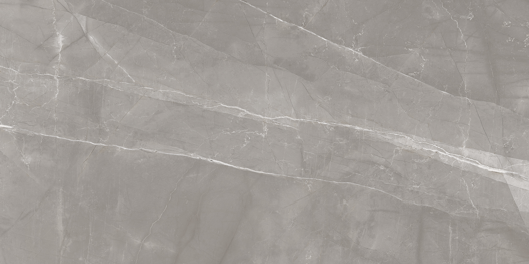 Silver Luxury detail 5