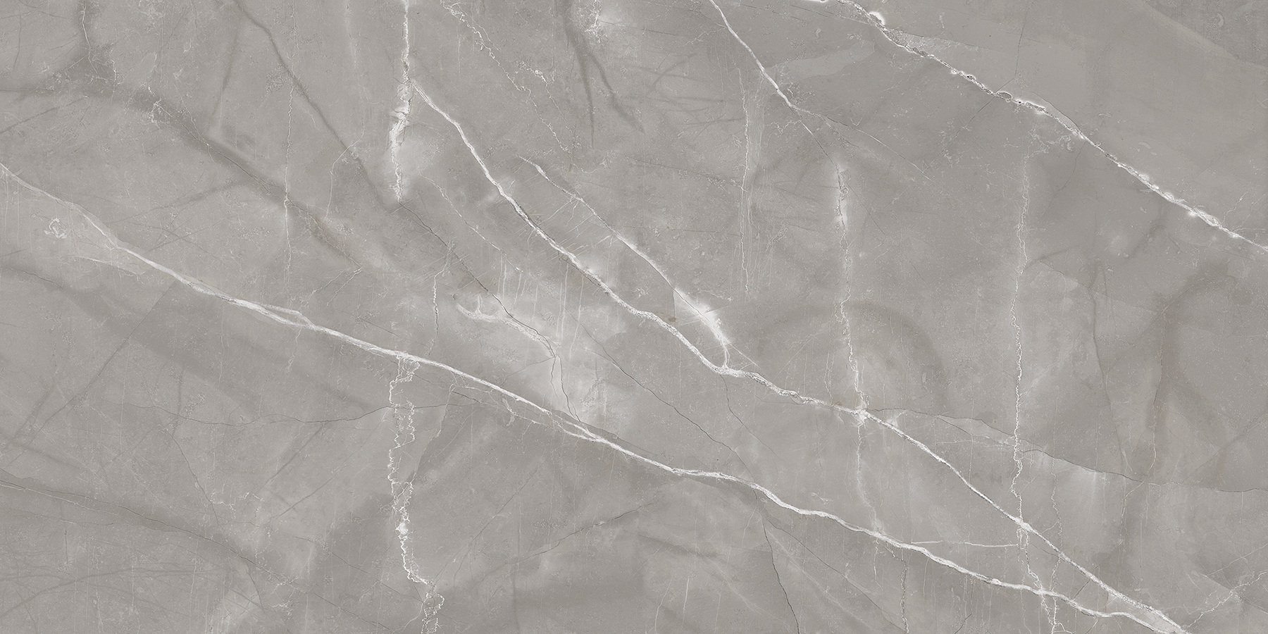 Silver Luxury detail 6